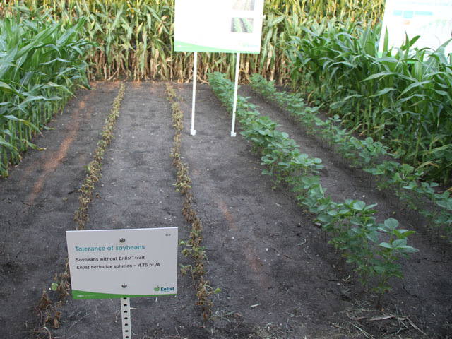 Approval of herbicide-resistance seeds is the first step in plans to commercialize the Enlist system by Dow AgroSciences in 2015. (DTN file photo by Pam Smith) 